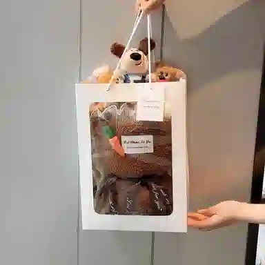 雄俊 穿衣带帽款掌门狗小香风花束 卡通狗狗花束 小丑鱼布偶 玩偶 毛绒公仔