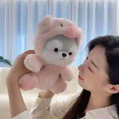 20cm30cm