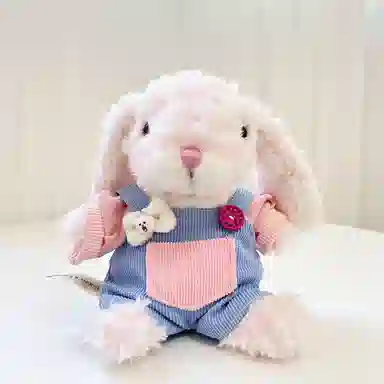 15cm