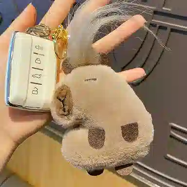 10cm