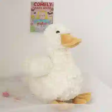 20cm