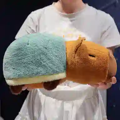 25cm35cm