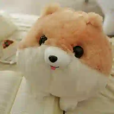 30cm45cm