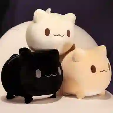 25CM30CM