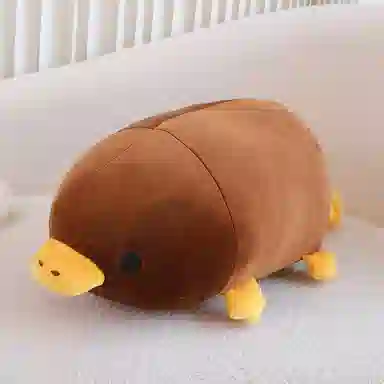 45cm55cm