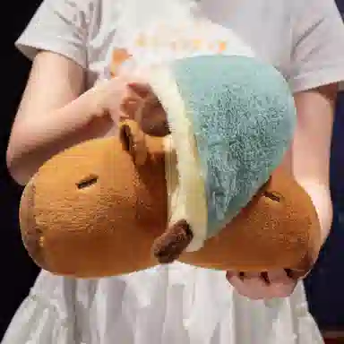 25cm35cm
