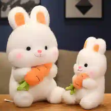 26cm38cm50cm