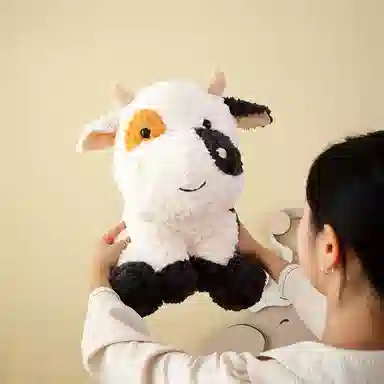 21cm29cm