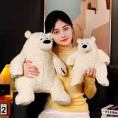 30cm50cm