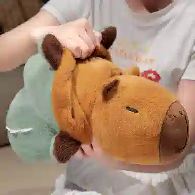 25cm35cm