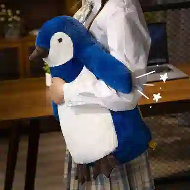 25cm35cm50cm