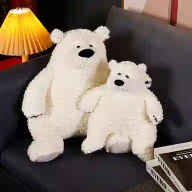 30cm50cm