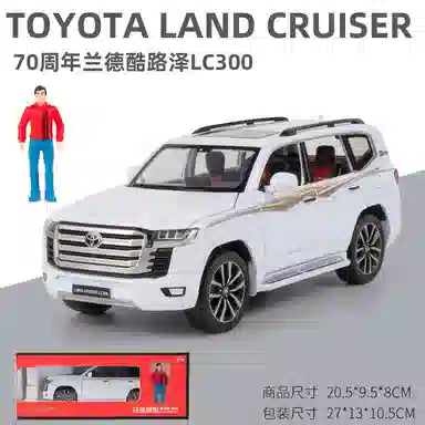 70L300124 6