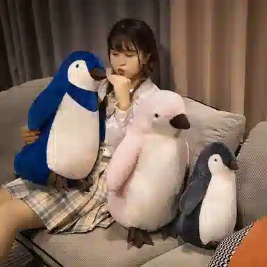 25cm35cm50cm