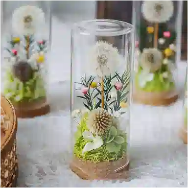 雄俊 蒲公英 永生花摆件 玩具