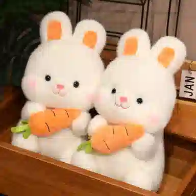 26cm38cm50cm