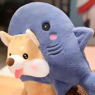 30cm45cm