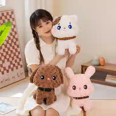 25cm30cm