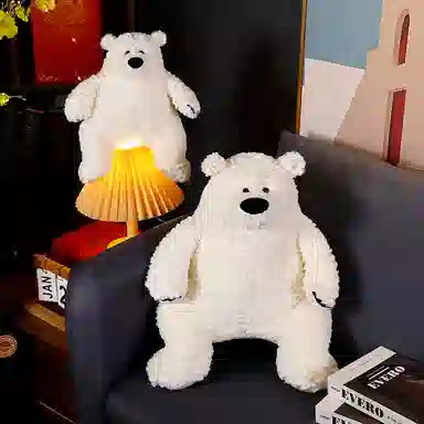 30cm50cm