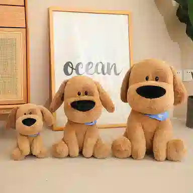 25cm40cm50cm