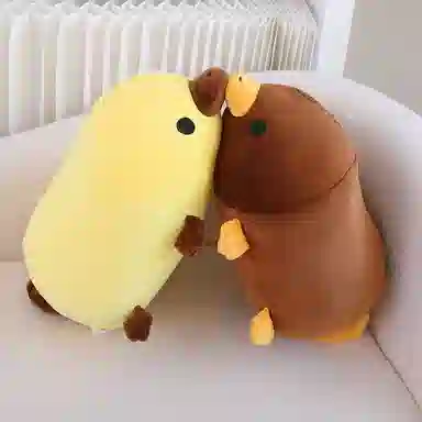 45cm55cm