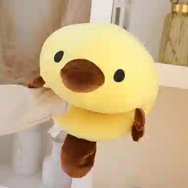 45cm55cm