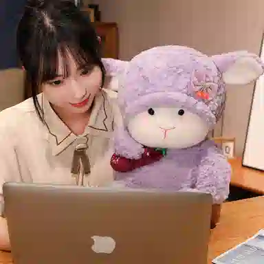 40CM60CM75CM