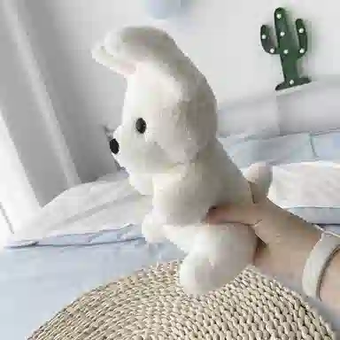 23cm