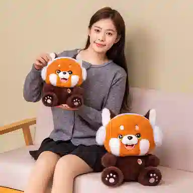 25cm35cm