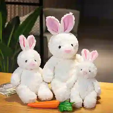 35cm45cm55cm