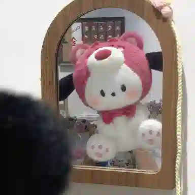 25cm