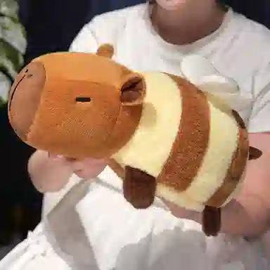 25cm35cm