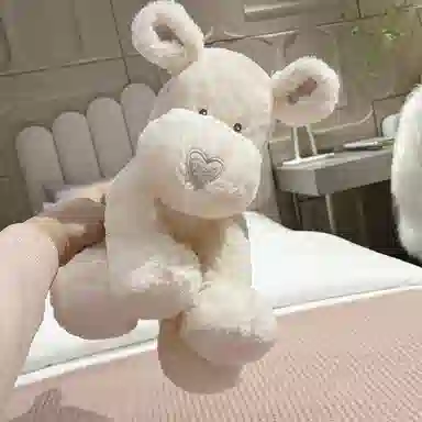 27cm