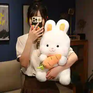 26cm38cm50cm