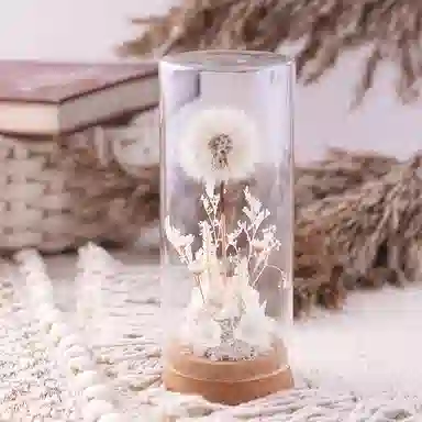 雄俊 蒲公英 永生花摆件 玩具