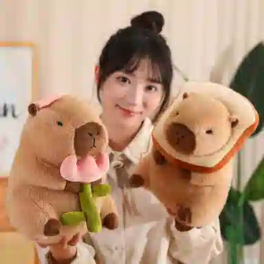 30cm40cm