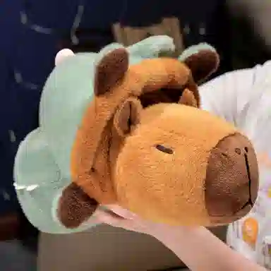 25cm35cm