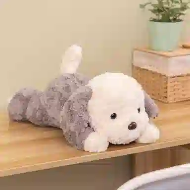 50cm
