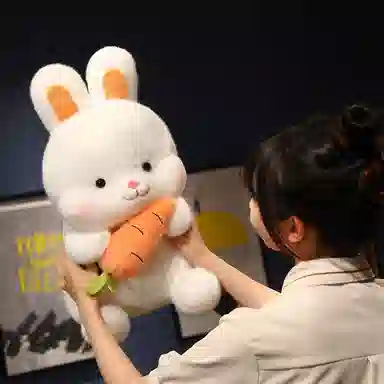 26cm38cm50cm