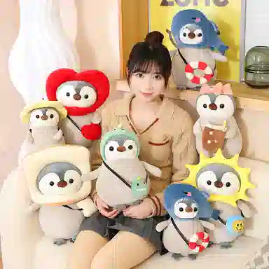25cm35cm