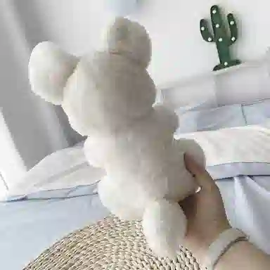 23cm