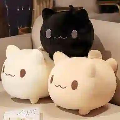 25CM30CM