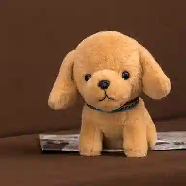 25cm