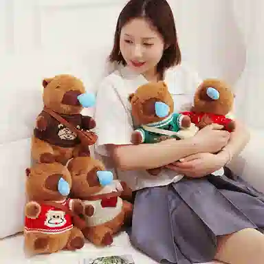 25cm