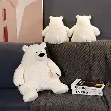 30cm50cm