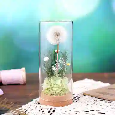 雄俊 蒲公英 永生花摆件 玩具