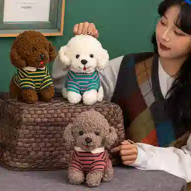 25cm