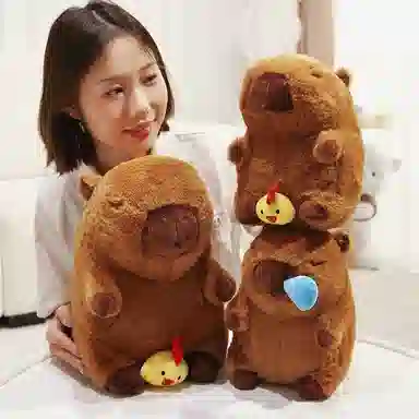 25cm35cm45cm
