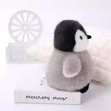 23cm30cm