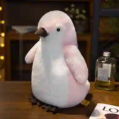 25cm35cm50cm